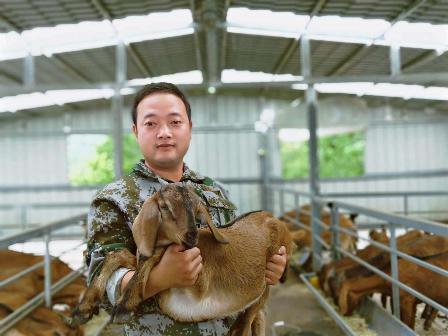 念羊經、發羊財 小畜牧成就大產業