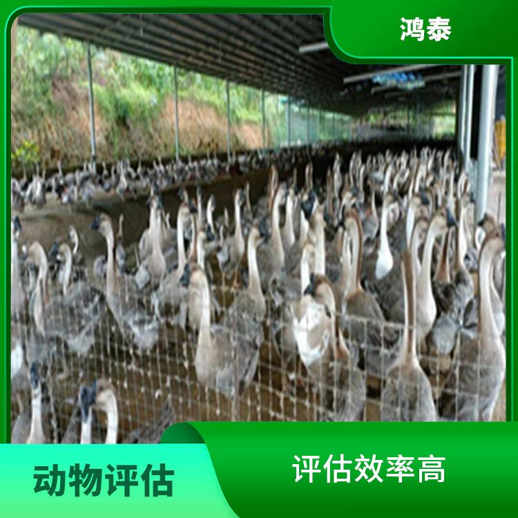 西藏畜牧養殖損失價值評估與市場因素分析 以雞鴨鵝養殖及拆遷評估為例